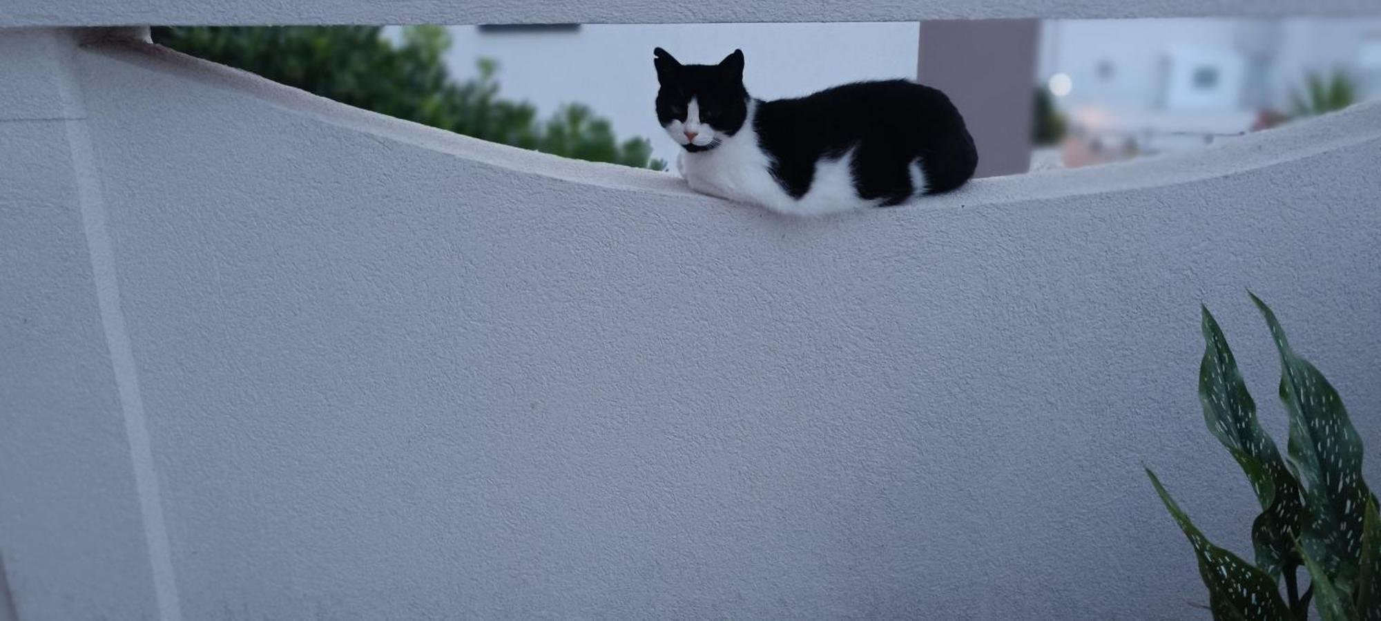 Apartmani Kunteja Pag Town Zewnętrze zdjęcie